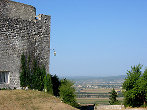 ruine du château la garde adhémar